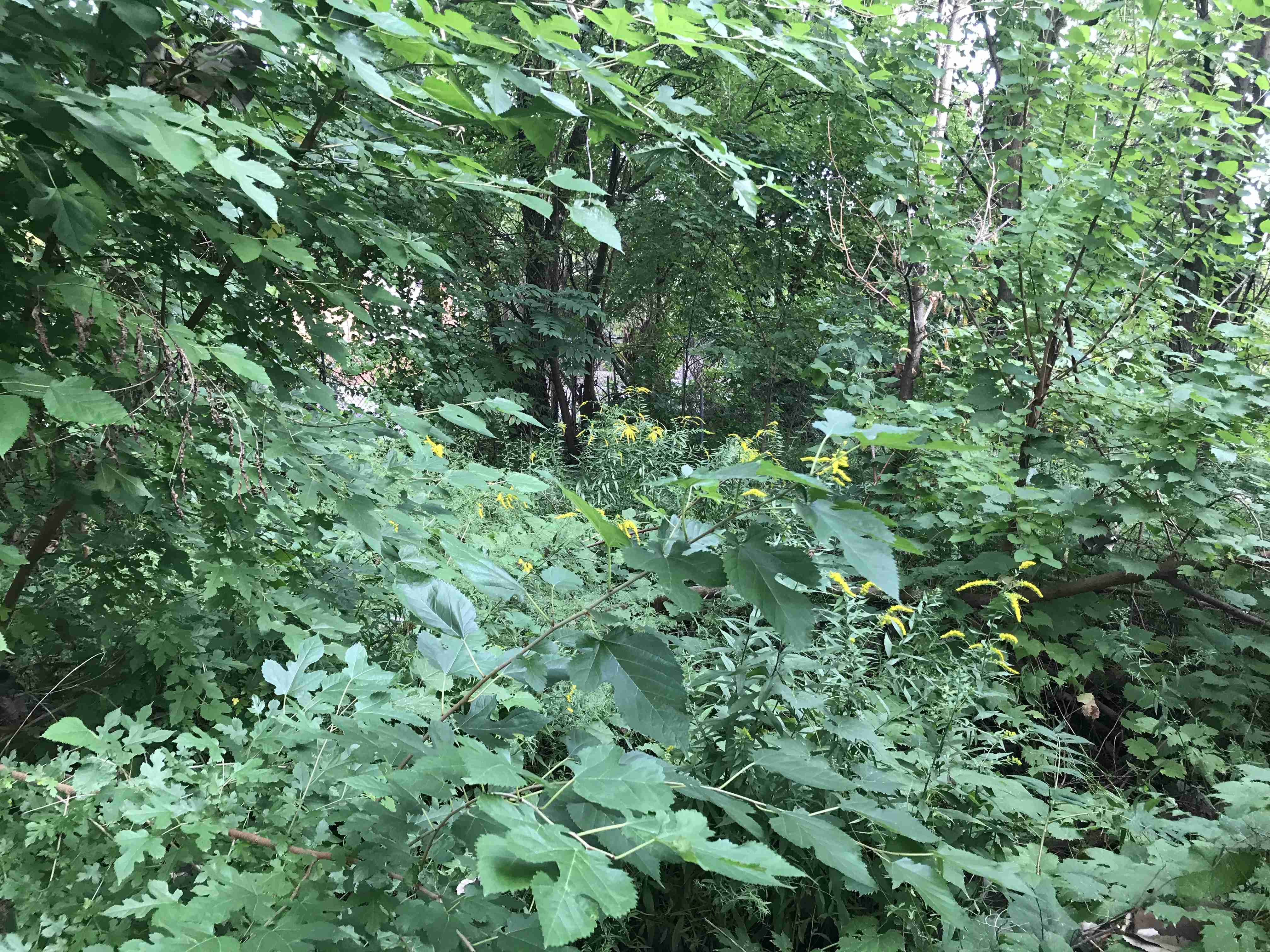 Photo Sep 09, 5 07 13 PM.jpg